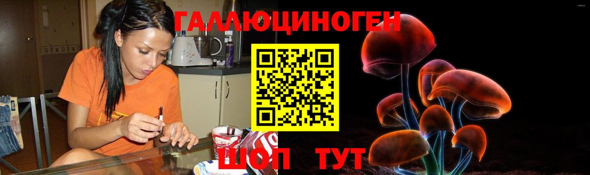 Галлюциногенные грибы Magic Shrooms  Вход с VPN  купить наркоту  Галлюциногенные грибы мицелий  Искитим 