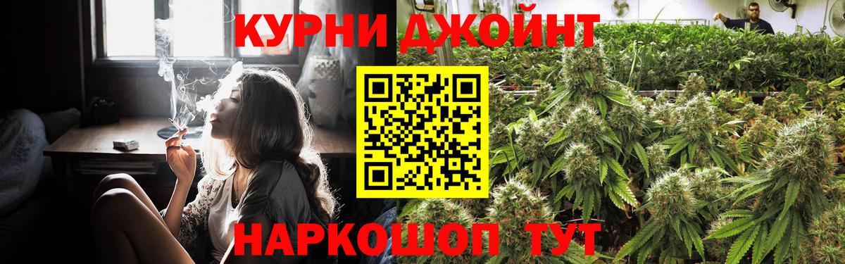 Бошки Шишки планчик  Каннабис план  Бошки Шишки планчик  Искитим  Вход с VPN 